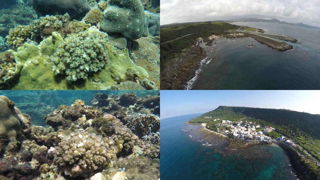 NSF EAPSI corals and sites. Pocillopora acuta colonies at Outlet reef (top) and Wanglitung reef (bottom) near Kenting, Taiwan.