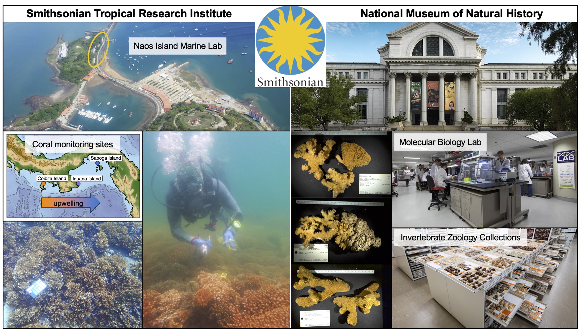 Smithsonian research facilities at STRI and NMNH. The STRI Naos Island Marine Lab grants access to coral monitoring sites in the eastern Pacific, and the NMNH IZ department has an immense specimen collection and cutting-edge molecular laboratories.